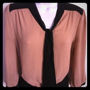 New Sheer Taupe and Black Blouse